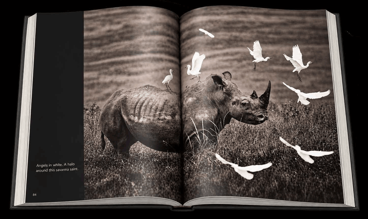 Reflection – Compact Edition - HPH Publishing South Africa
