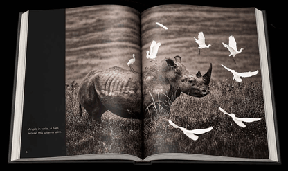 Reflection – Compact Edition - HPH Publishing South Africa