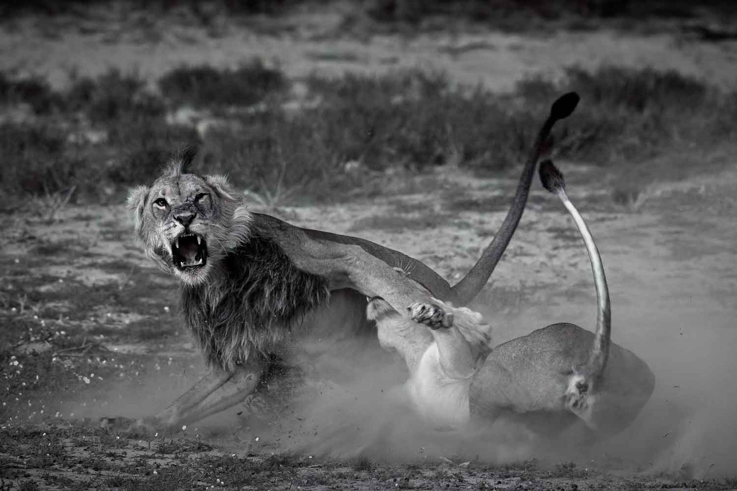 Eden - Soul of Africa