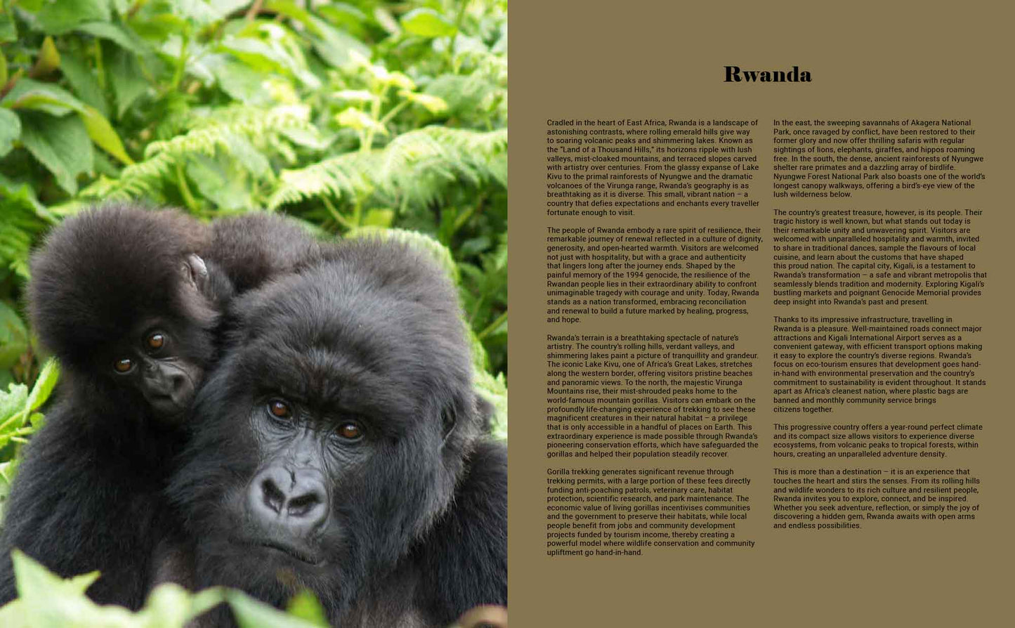 Africa’s Best Stays