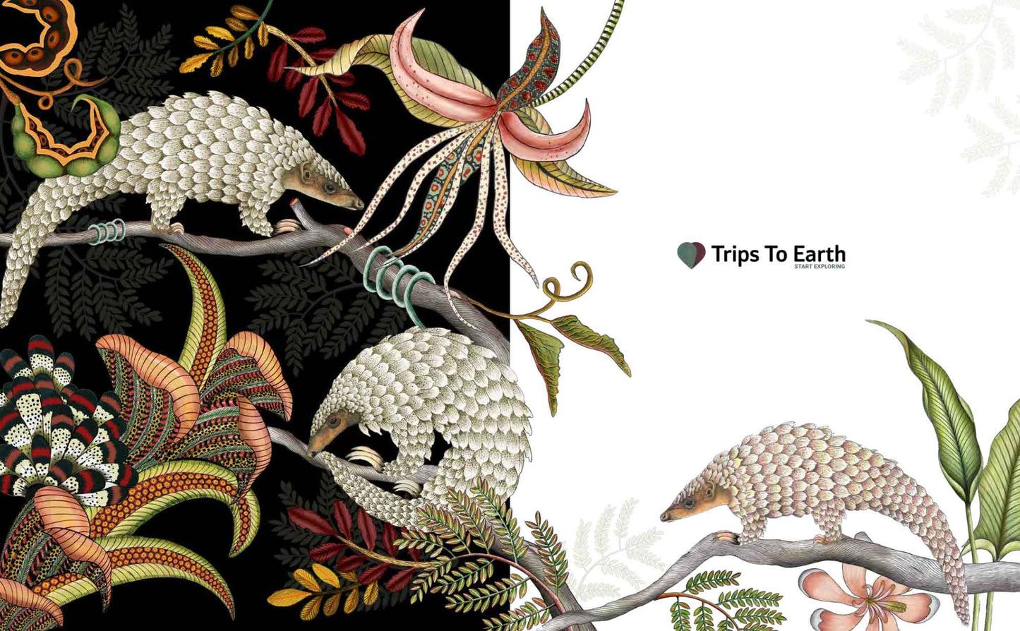 Africa’s Best Stays