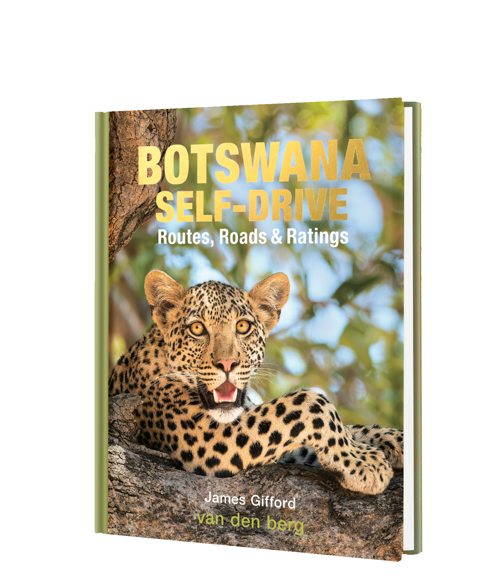 Botswana Self-Drive