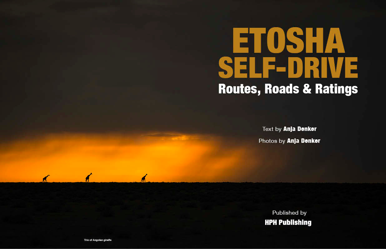 Etosha Self-Drive – Routes, Roads and Ratings