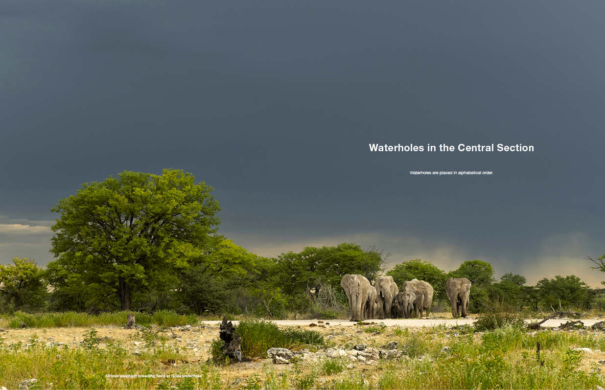 Etosha Self-Drive – Routes, Roads and Ratings