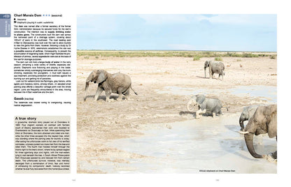 Etosha Self-Drive – Routes, Roads and Ratings