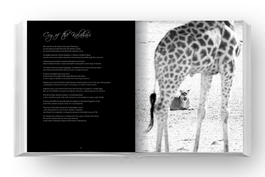 Eden - Soul of Africa