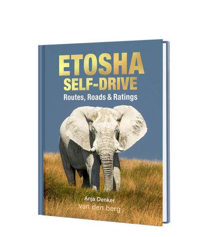 Etosha Self-Drive – Routes, Roads and Ratings