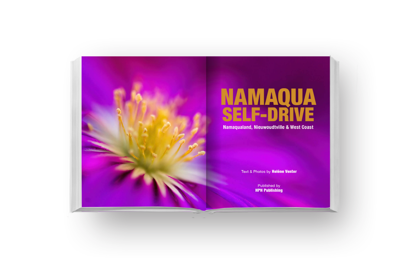 Namaqua Self-Drive
