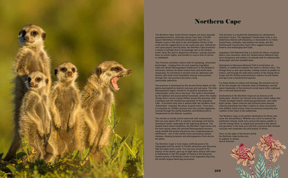 South Africa’s Best Stays