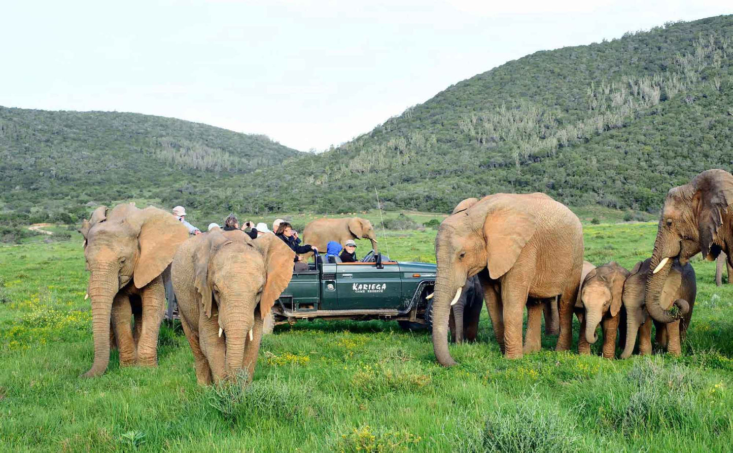 South Africa’s Best Stays