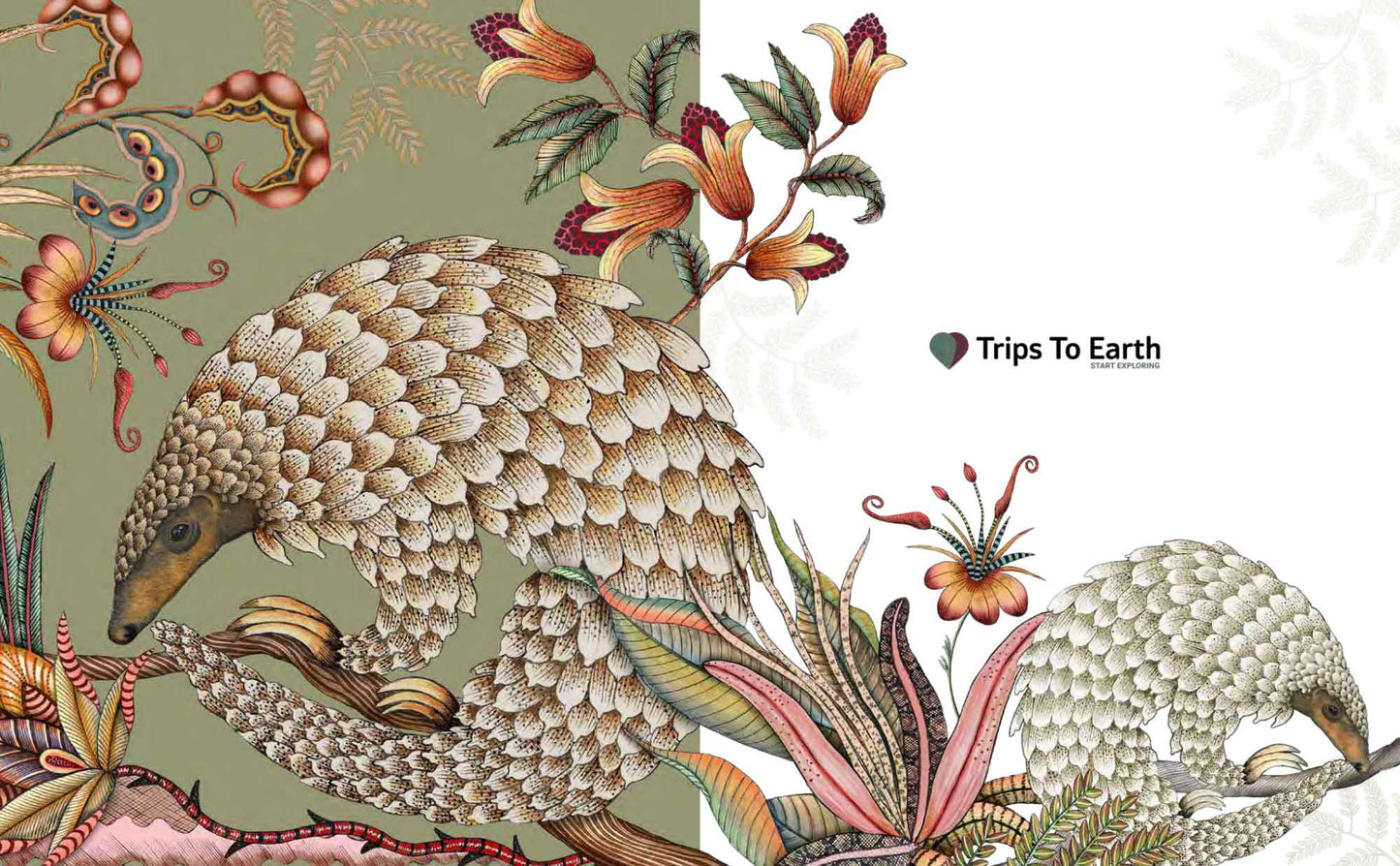 South Africa’s Best Stays