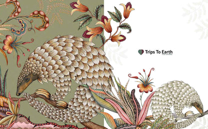 South Africa’s Best Stays