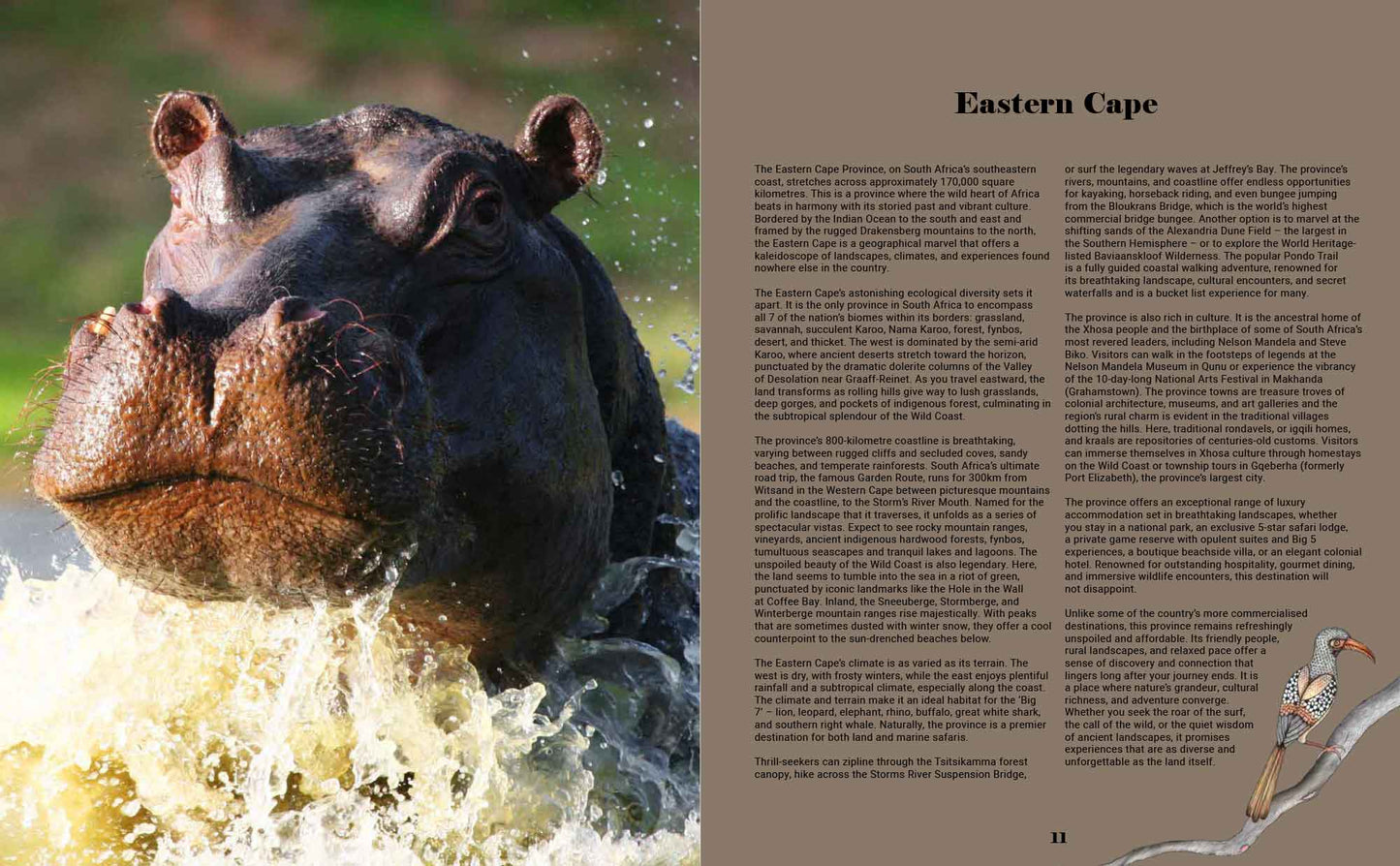 South Africa’s Best Stays