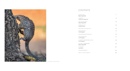 10 Years of Remembering Wildlife