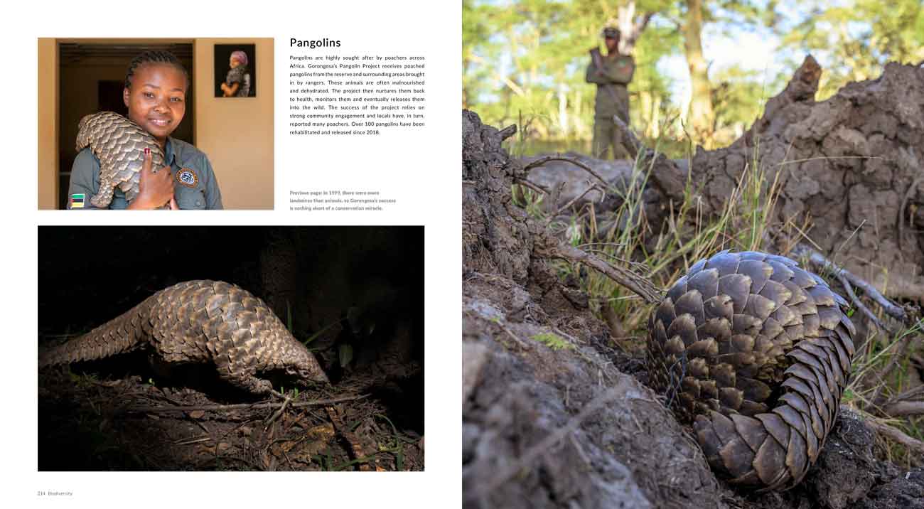 The Rift by Shem Compion