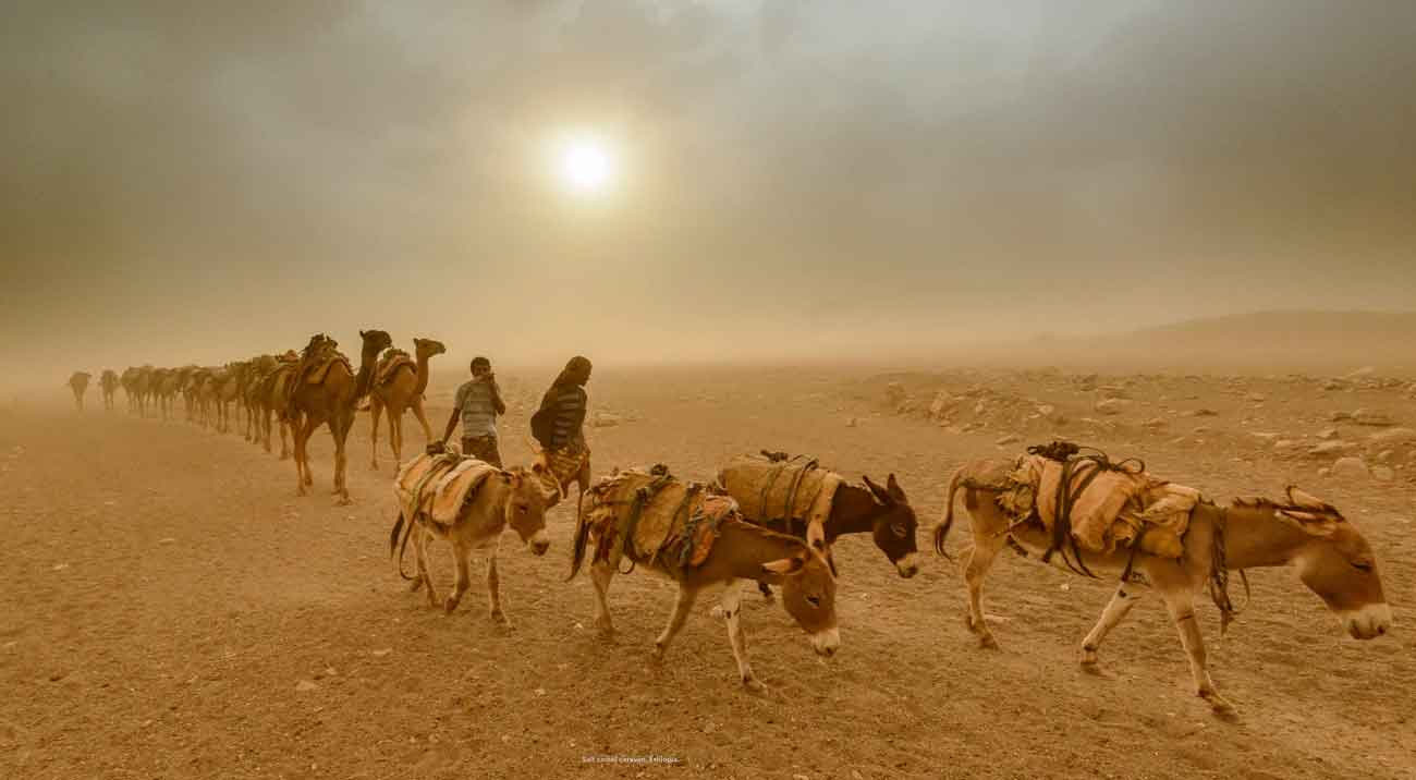 The Rift by Shem Compion