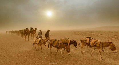 The Rift by Shem Compion