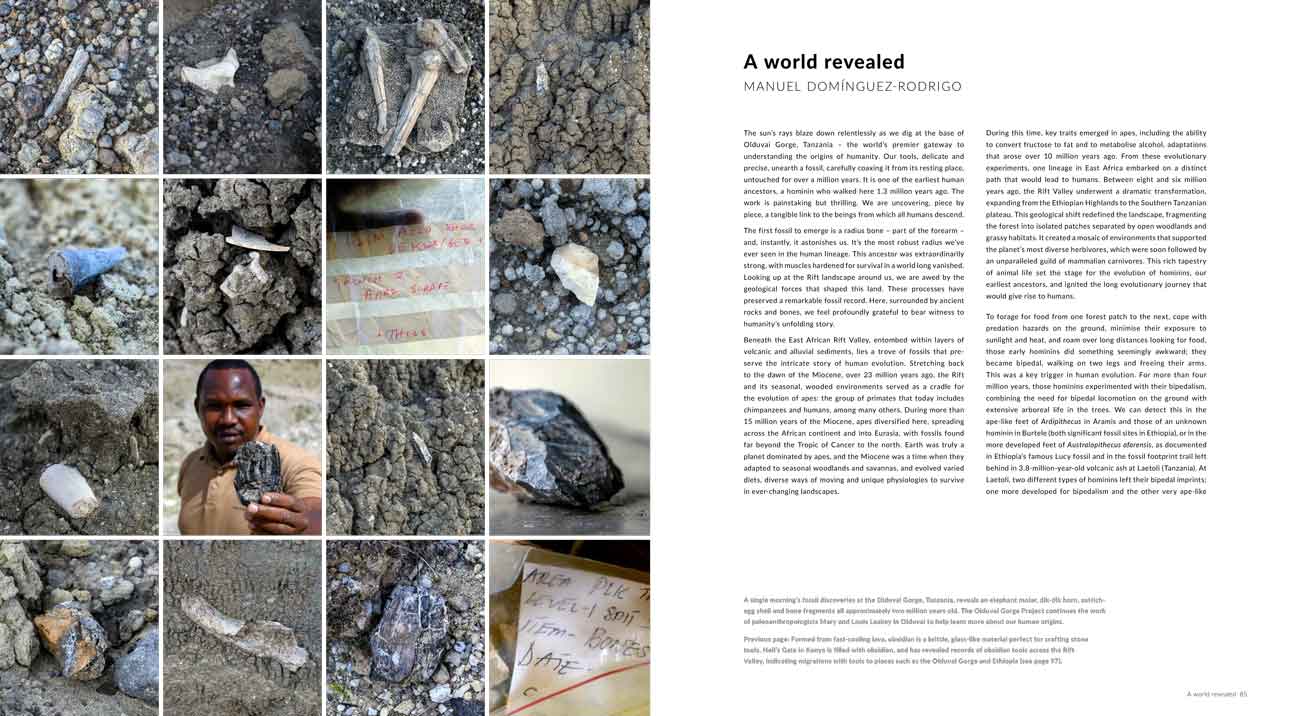 The Rift by Shem Compion