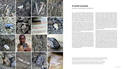 The Rift by Shem Compion