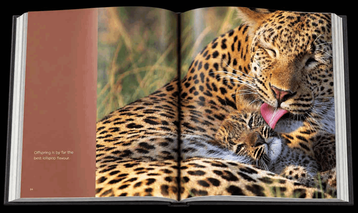 Reflection – Compact Edition - HPH Publishing South Africa