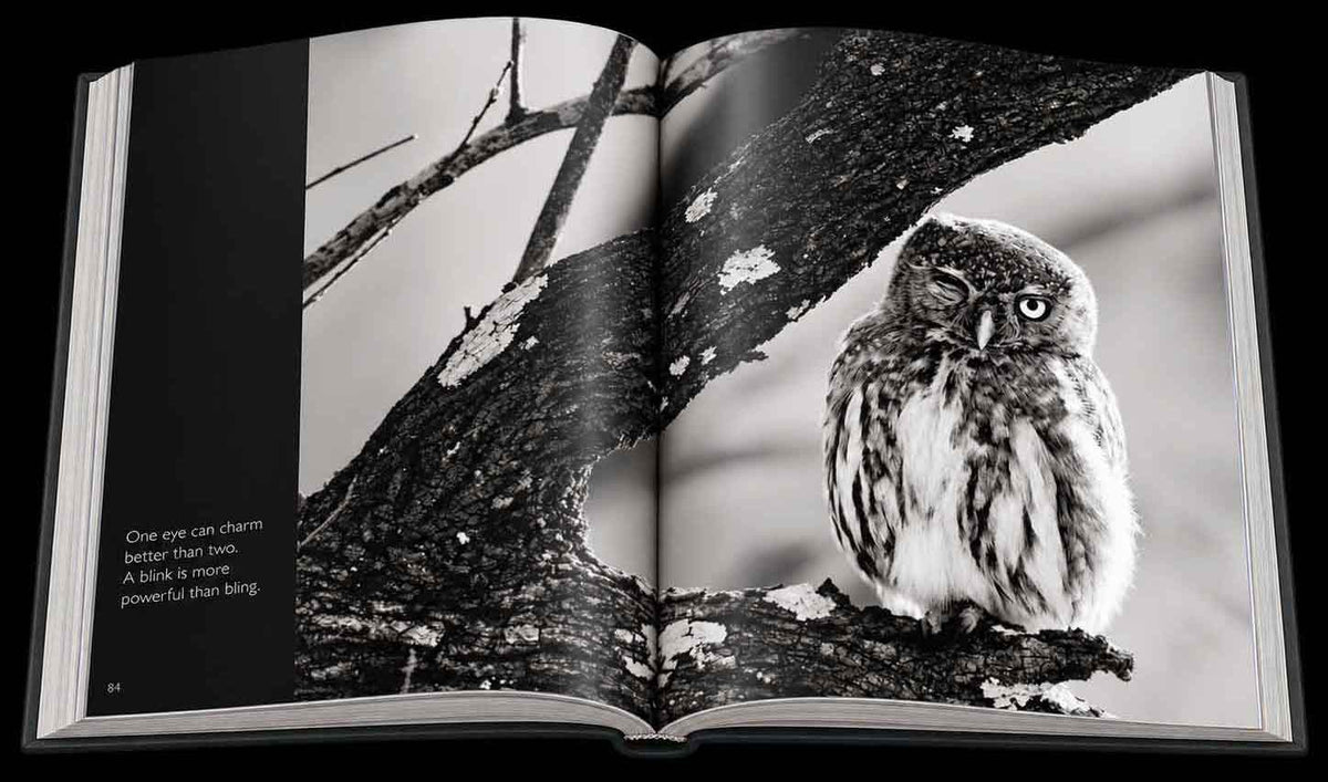 Reflection – Compact Edition - HPH Publishing South Africa