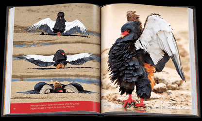 Reflection – Compact Edition - HPH Publishing South Africa