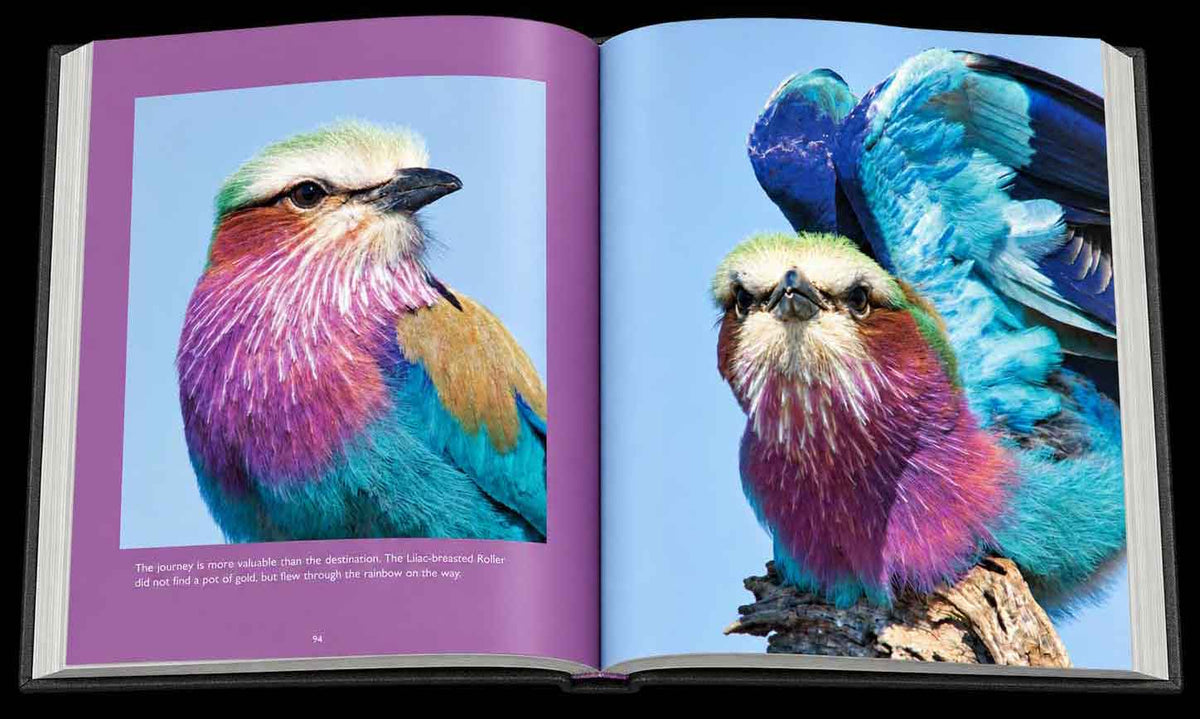 Reflection – Compact Edition - HPH Publishing South Africa