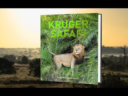 Kruger Safari