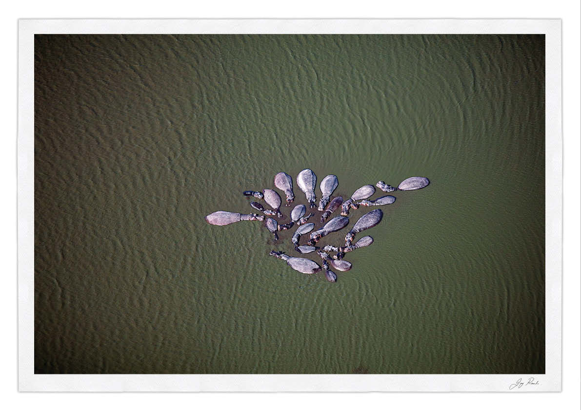 Okavango Dreams - HPH Publishing South Africa