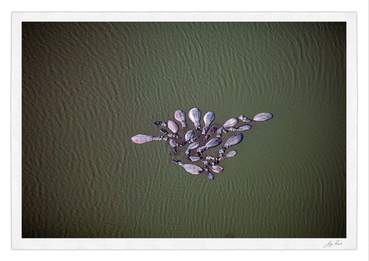 Okavango Dreams - HPH Publishing South Africa