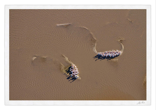 Makgadikgadi Moments - HPH Publishing South Africa