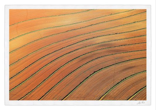 Zen lines - HPH Publishing South Africa