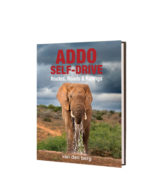 Addo Self-Drive – Routes, Roads and Ratings