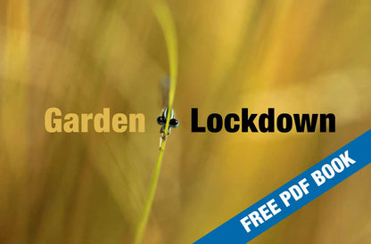 Garden Lockdown PDF Book - HPH Publishing